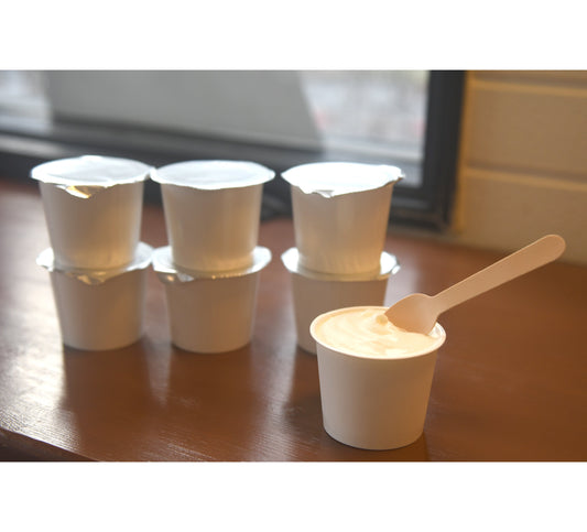 フローズンヨーグルトカップ 6個set